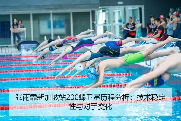 zhang-yu-fei-xin-jia-po-zhan-die-wei-mian-li-cheng-fen-xi-ji-shu-wen-ding-xing-yu-dui-shou-bian-hua-3-587.jpg